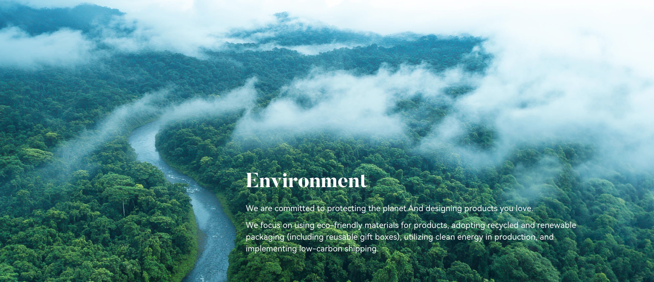 a river cross in a forest